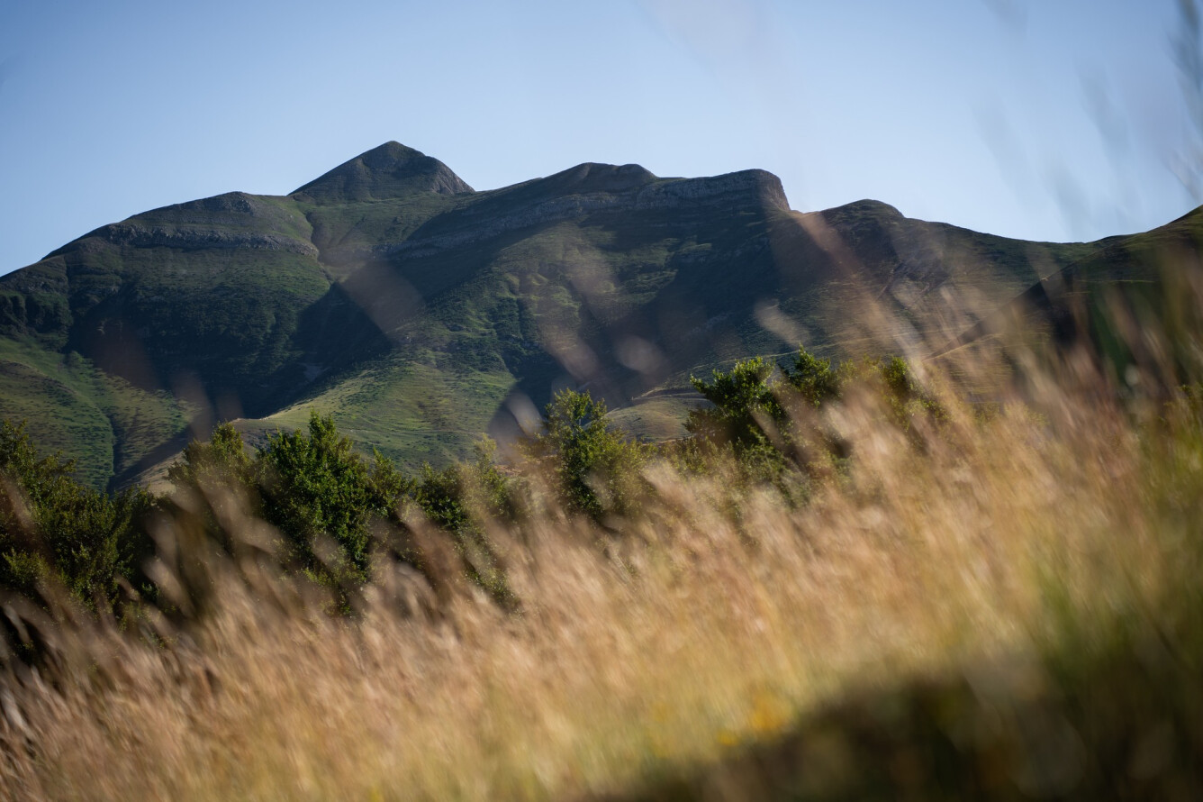 PICO DEL ORY