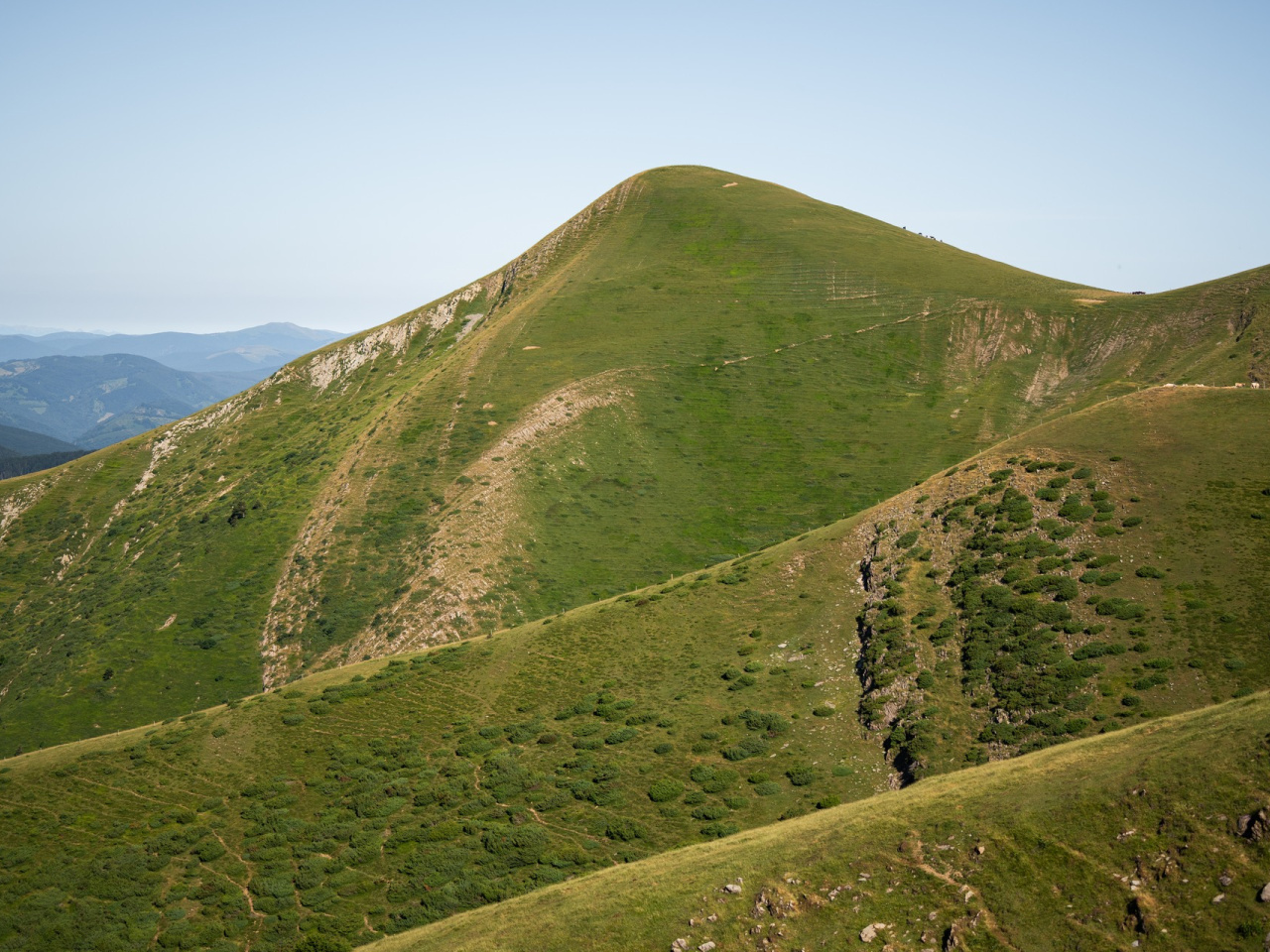 PRI-RU-SAL-107.jpg