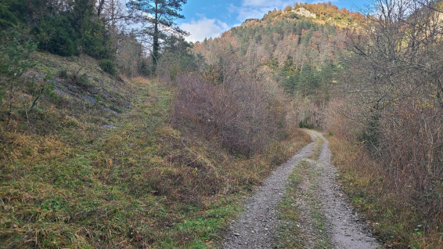 SL-NA-61: JAURRIETA - ESPARTZA ZARAITZU. BEIEGIKO BALKOIA