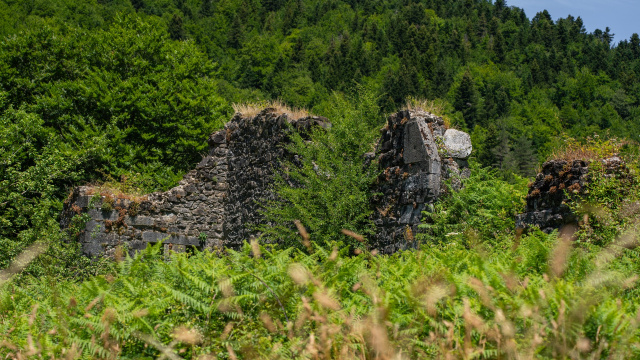SENTZUMENEN IBILBIDEA