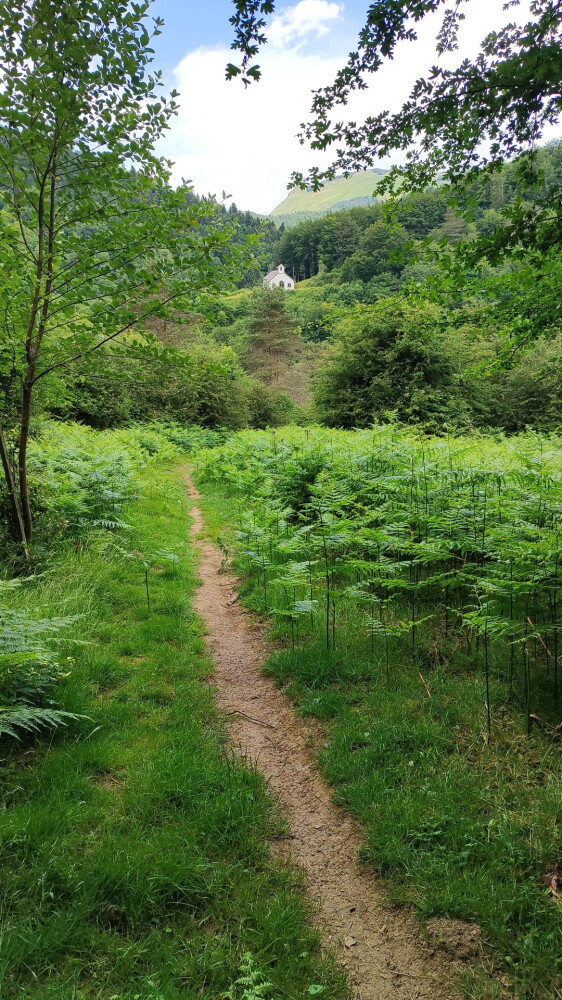 SL-NA-69: CAMINO VIEJO DE KOIXTA