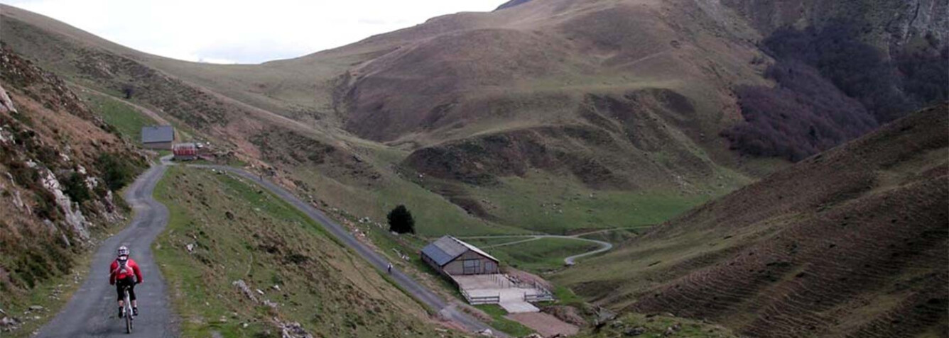 2. PETRILARRE