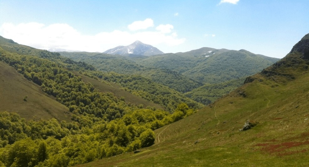8. ZAMUKADOIA