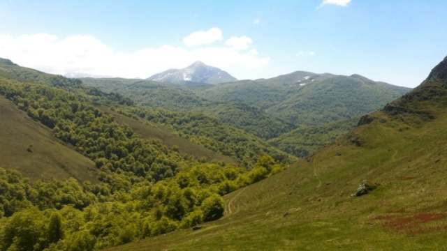 8. ZAMUKADOIA