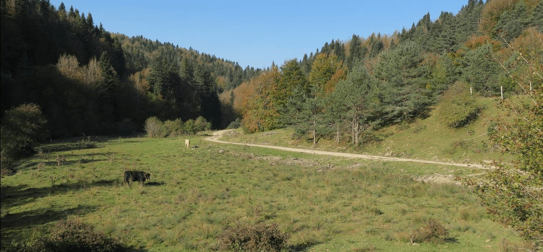 9. MALGORRA