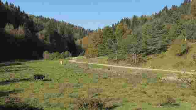9. MALGORRA