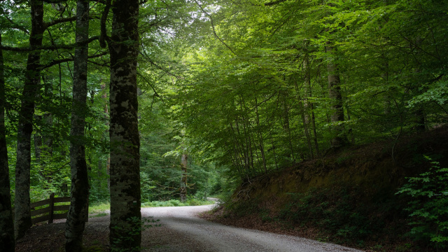 12. ERMITALDEA