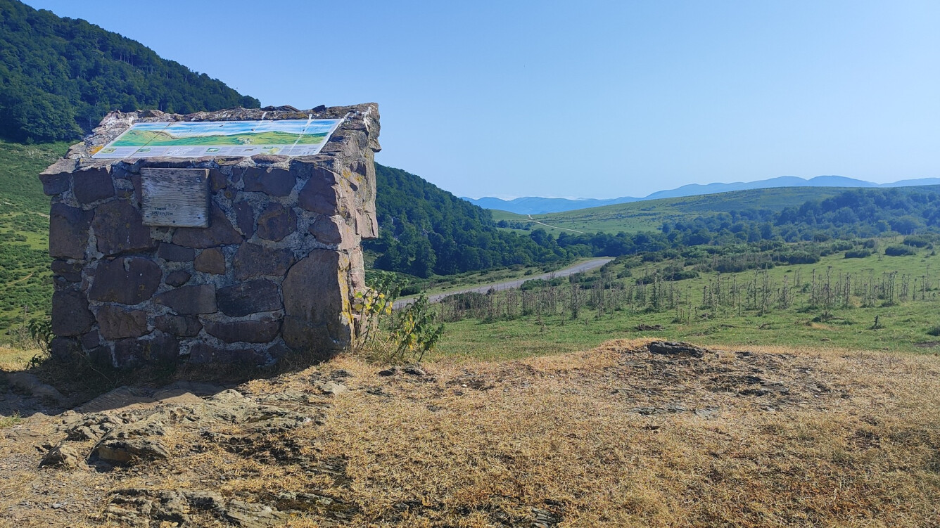 14. TXANGOA