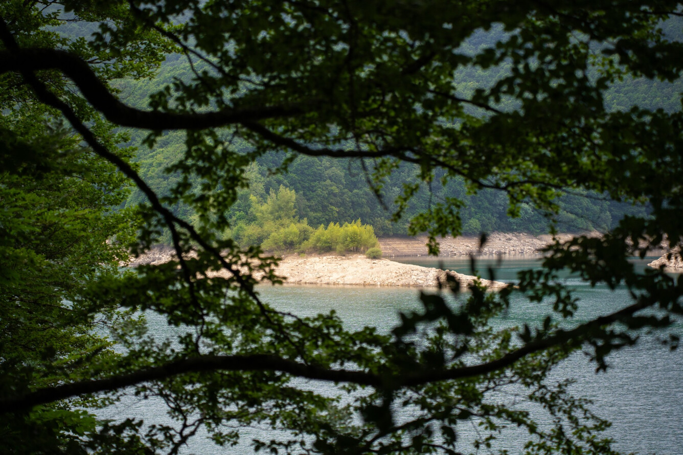 15. BURDINZOKOA