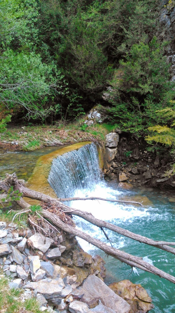 2. XABROS