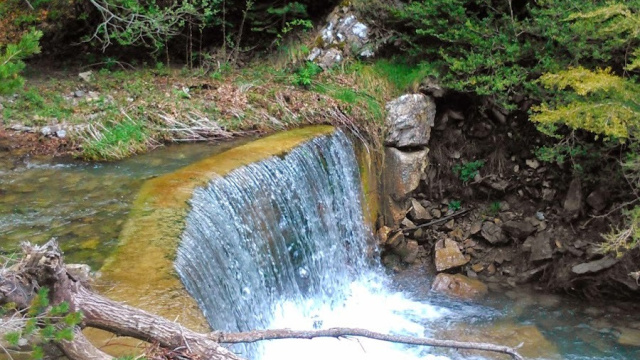 2. XABROS