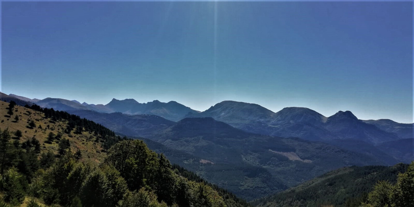 7. LUTOA