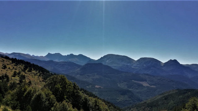 7. LUTOA