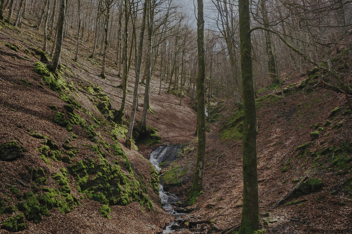 6. ERREGENERA TRAIL