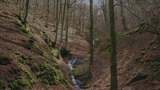 6. ERREGENERA TRAIL