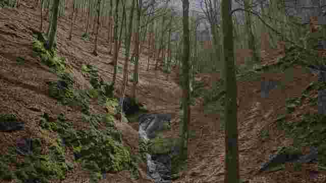 6. ERREGENERA TRAIL