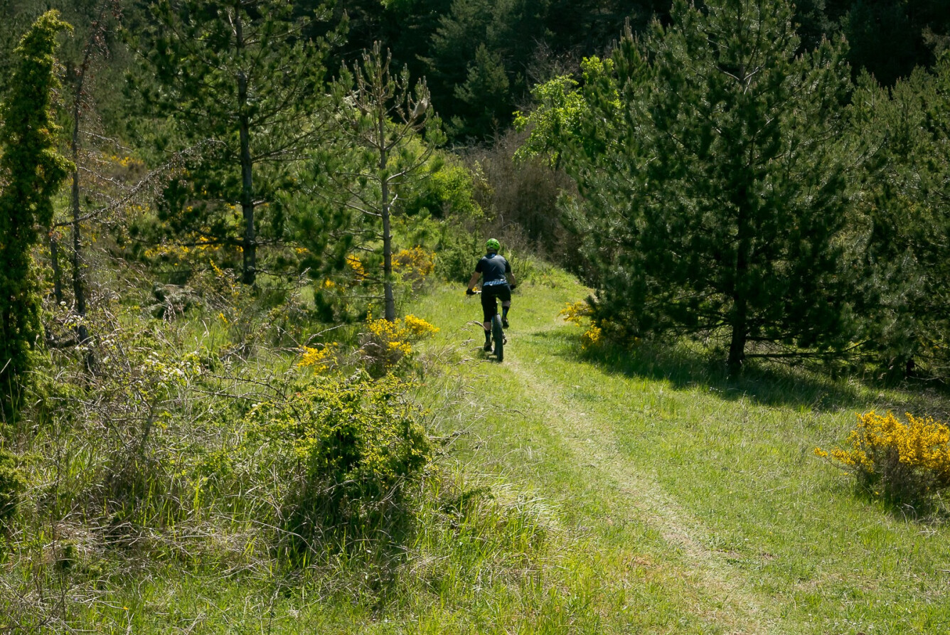 16.CAMINO DE GARAZIBAR