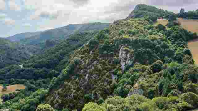 TRISTUIBARTEA NATURE RESERVE
