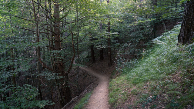 Cascada de Arrako