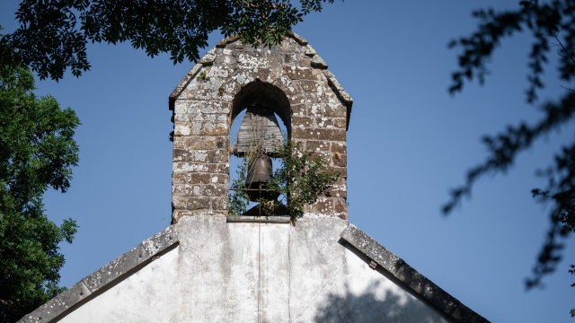 Chapel of Our Lady of La Blanca and Centenary Oaks