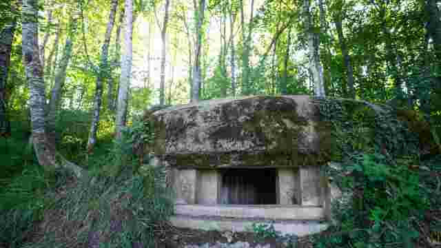 Bunkers de Muskilda