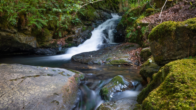 Rivière D'Arga