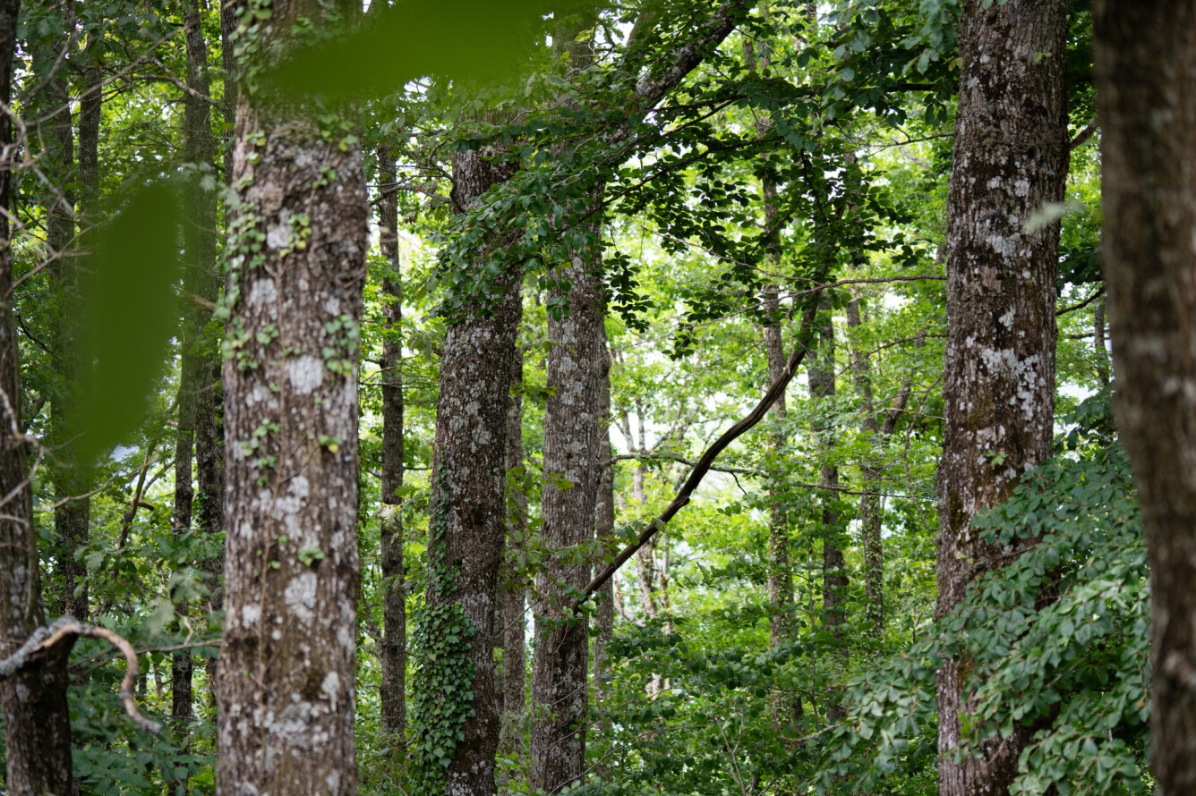 SENDERO GARAIOA