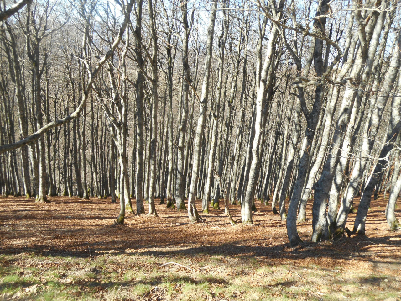 RU-ORR-027.2.jpg