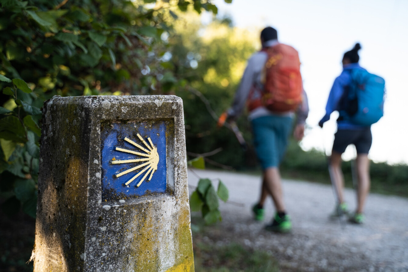CAMINO DE SANTIAGO