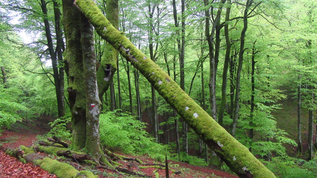 GR-225 STAGE 4: SOROGAIN - UREPEL
