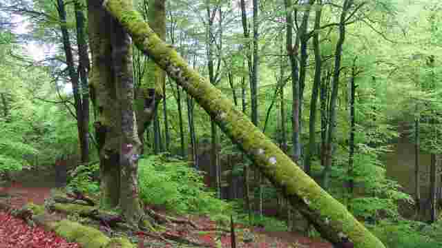 GR-225 STAGE 4: SOROGAIN - UREPEL