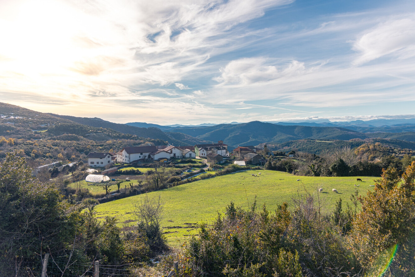 1. AINTZIOA - ESNOTZ