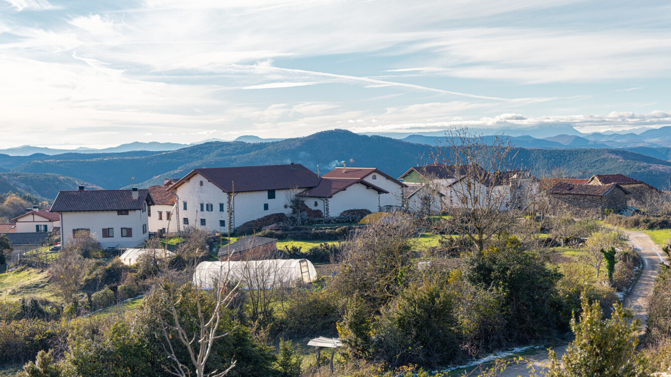 20. ARDAITZ - AINTZIOA