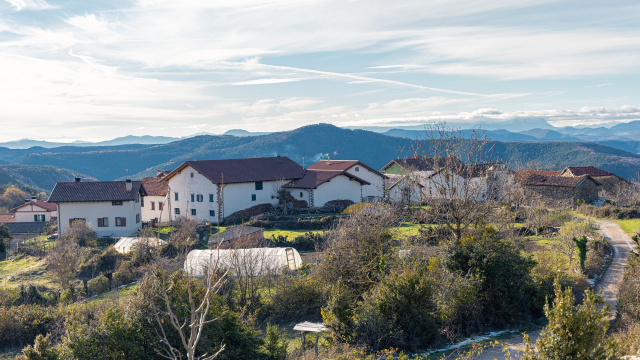20. ARDAITZ - AINTZIOA