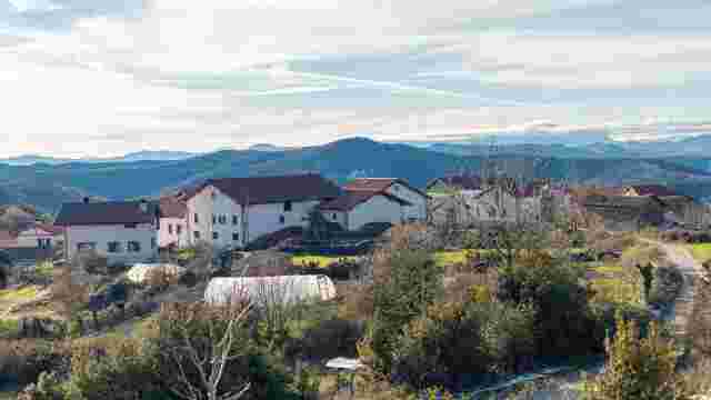 20. ARDAITZ - AINTZIOA