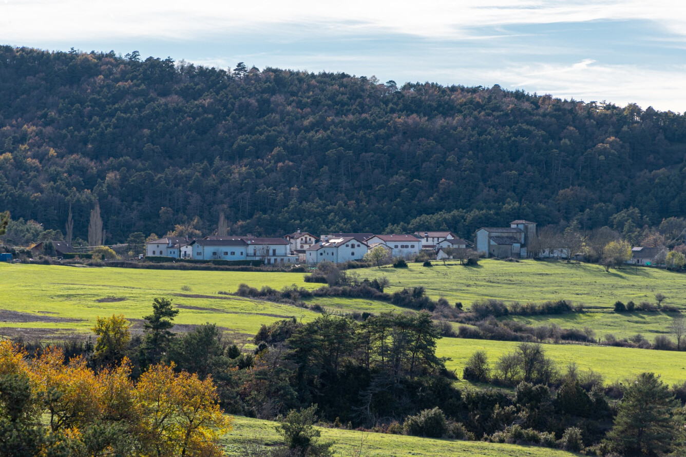 31. ORONDRITZ - LOIZU