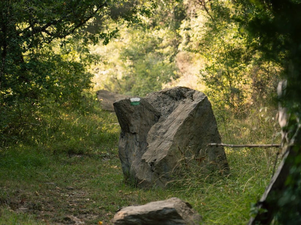 RU-RON-077.1.jpg